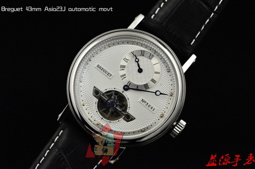 Discount Replica Breguet Hot Watches Bhw095