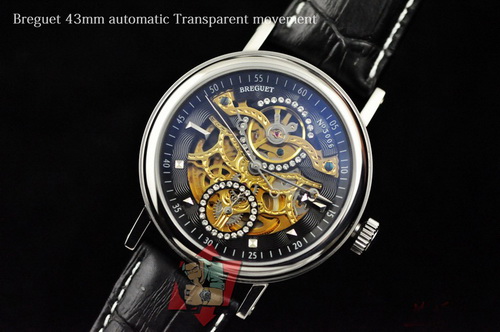 Replica Breguet Hot Watches Bhw096