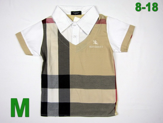 Luxury Burberry Kids T Shirt Buktshirt050