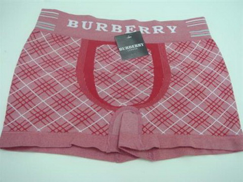 Burberry Man Underwears 28 Replica