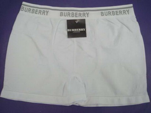 Faux Burberry Man Underwears 31