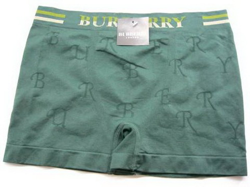 Wholesale Cheap Burberry Man Underwears 8