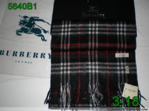 Burberry Scarf Bus-214 Prices