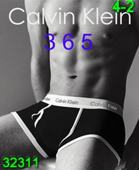 Calvin Klein Man Underwears 293 Replica