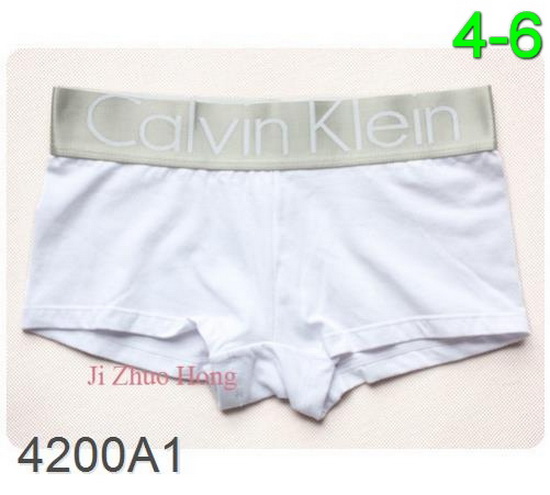 Luxury Calvin Klein Women Underwears 34