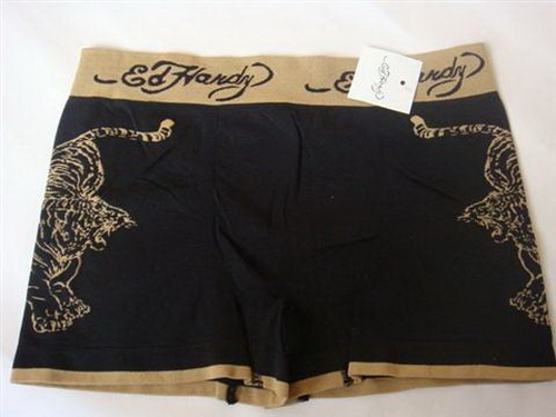 Famous Ed Hardy Man Underwears 20