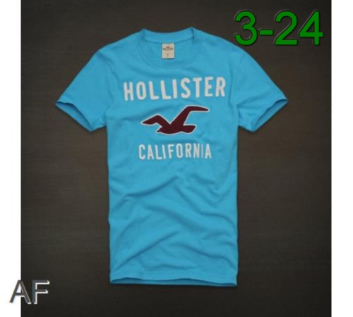 Luxury Replica Hollister Man Short T Shirts Rhomts-191